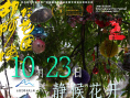 《胡阿姨的花园》海报