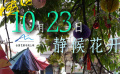 《胡阿姨的花園》正式定檔！10月23日全國(guó)藝聯(lián)專線上映