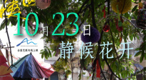 《胡阿姨的花園》正式定檔！10月23日全國藝聯(lián)專線上映