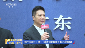 2025大灣區(qū)（佛山）功夫電影展將于12月6日開幕