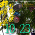 《胡阿姨的花园》曝预告 10.23全国艺联专线上映