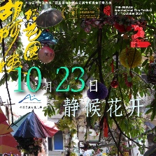 胡阿姨的花園