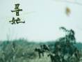 《寻她》剧照