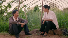 金桂兰：儿媳私吞婆婆积蓄，孝顺小伙惹共鸣！