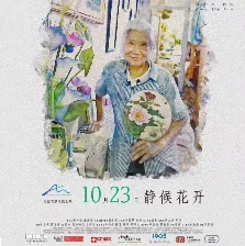 胡阿姨的花園