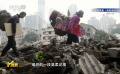 電影頻道《M指數(shù)》為您推薦《胡阿姨的花園》