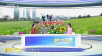 在別人的廢墟里，胡阿姨種出了一個(gè)春天