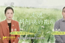 今日影評|在別人的廢墟里，胡阿姨種出了一個春天