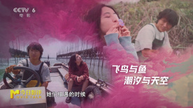 《下一个台风》中沫沫和阿汐就像飞鸟与鱼