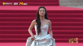 张雅钦亮相第十一届文荣奖红毯