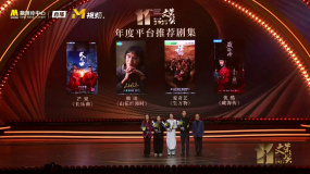 第十一届文荣奖年度平台推荐剧集