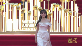 歌手薩頂頂亮相第十一屆文榮獎紅毯