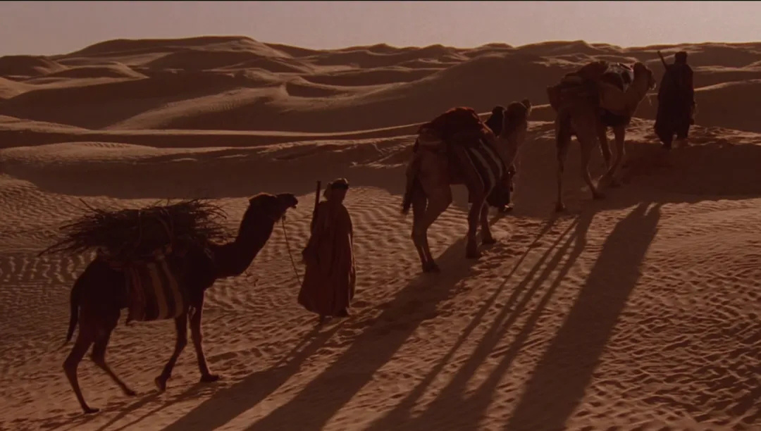 《英国病人》乱世异域中凄美恋情的背后……