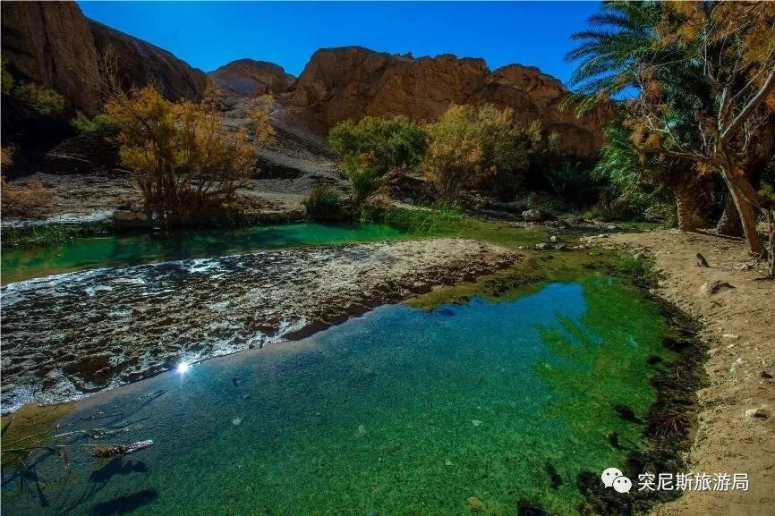 《英国病人》乱世异域中凄美恋情的背后……