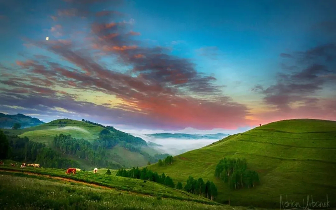 《英国病人》乱世异域中凄美恋情的背后……