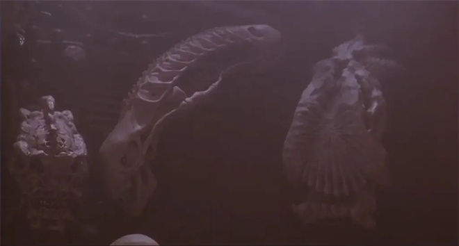 38年历史的科幻动作大片 《铁血战士》复活了?