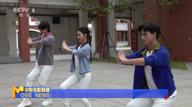 非遗焕发新活力 永春白鹤拳进校园