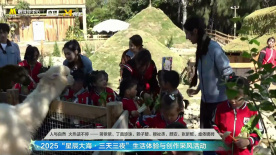 蒋依依贴心捡起小朋友扔在鸭圈的胡萝卜，避免浪费