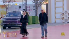 颜丙燕 杨亚洲亮相第38届金鸡奖颁奖典礼入场仪式