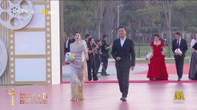 王丽坤、黄海冰亮相第38届金鸡奖颁奖典礼入场仪式