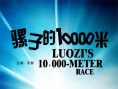 《骡子的10000米》海报
