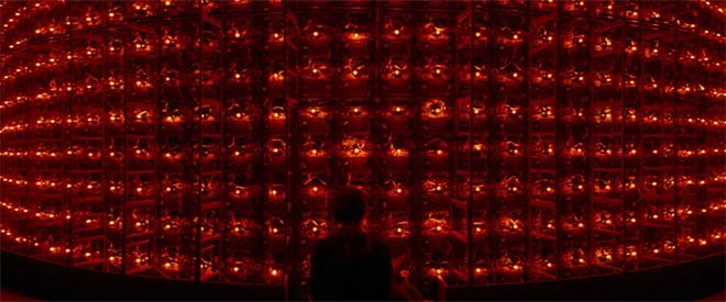 毕赣新片《狂野时代》看不懂?看这一篇就够了!