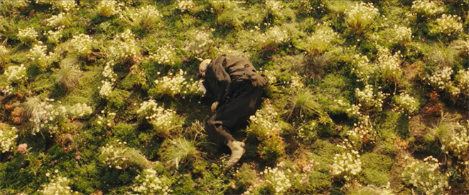 毕赣新片《狂野时代》看不懂?看这一篇就够了!