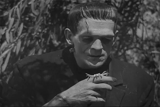 毕赣新片《狂野时代》看不懂?看这一篇就够了!