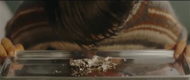 毕赣新片《狂野时代》看不懂?看这一篇就够了!