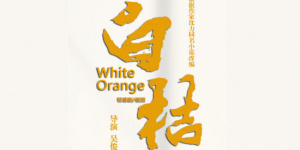 在泥土里的成长与心动——电影《白桔》回到故乡昭通举行首映式