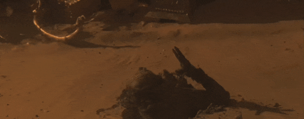 站在神秘埃及的金字塔前,你会想起哪部电影?