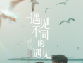 《遇见不同的遇见》海报