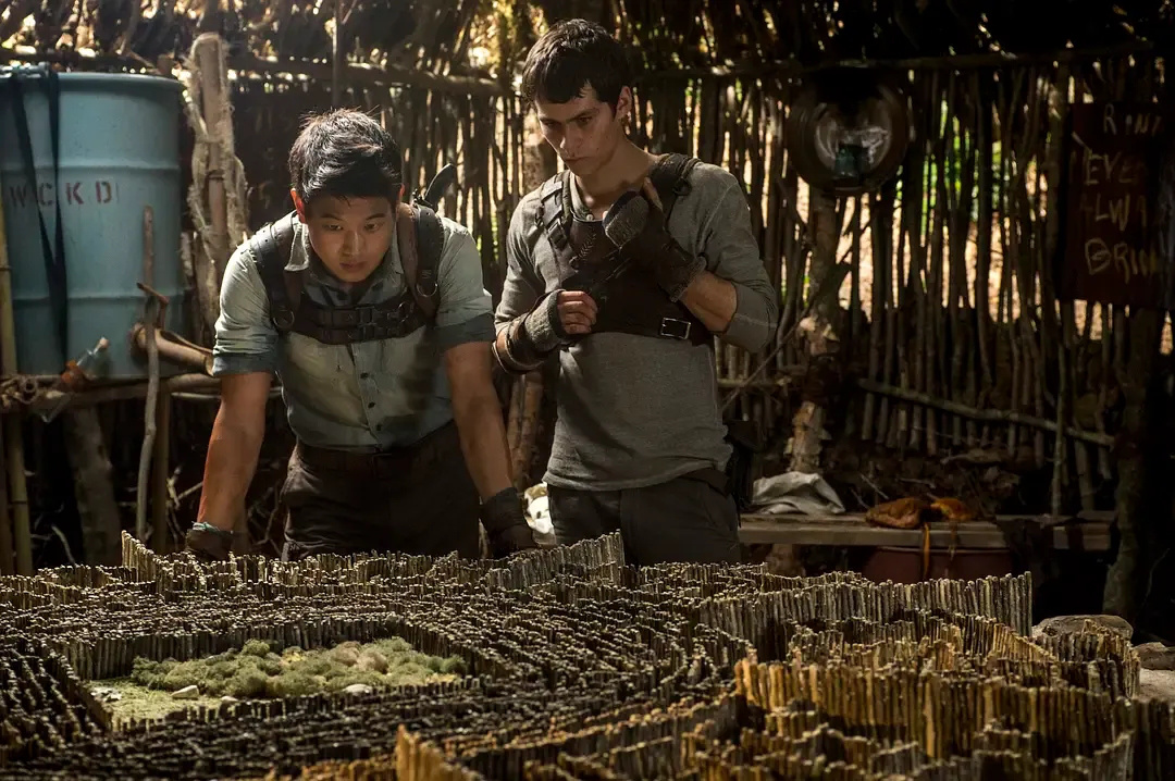 当生活成为24小时直播的“真人秀”，你会怎么做?