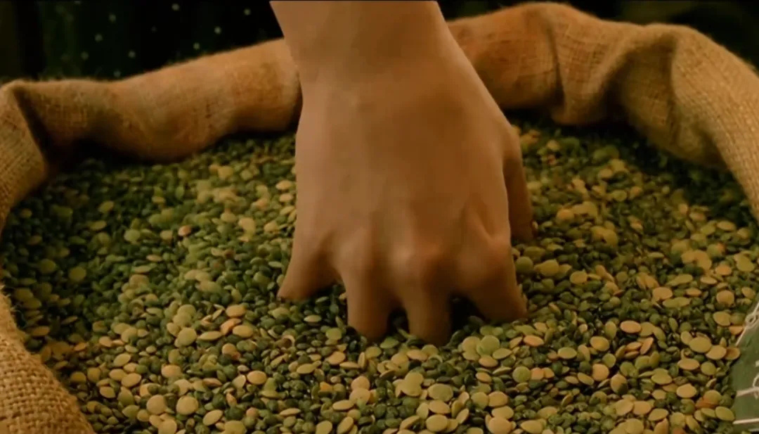 佳片有约 | 这位法国女郎精神状态美丽