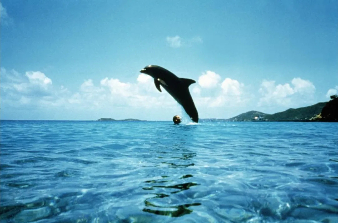 佳片有约 | 这位法国女郎精神状态美丽