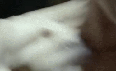 金刚王：死亡救赎