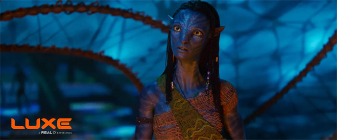 《阿凡达3》年末将映！RealD推出专属主题3D眼镜