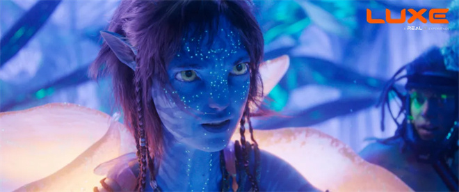 《阿凡达3》年末将映！RealD推出专属主题3D眼镜