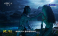 本期M指数推荐新片《阿凡达3》