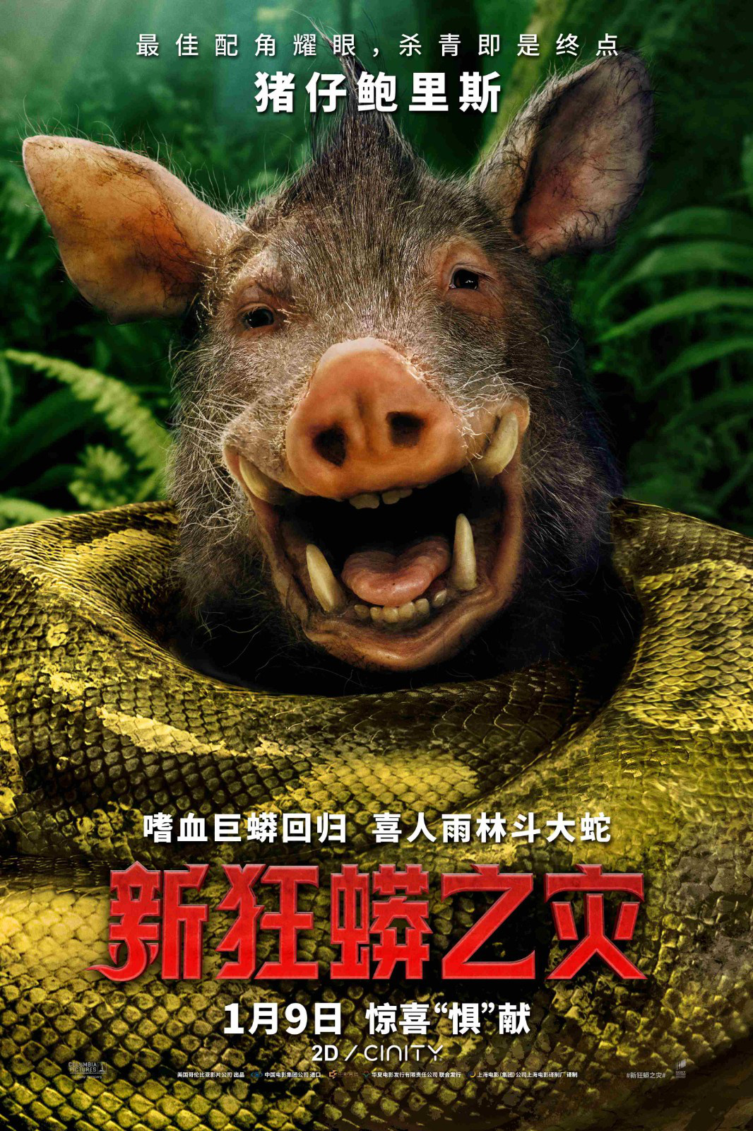 《新狂蟒之灾》1月9日上映 “蚁人”雨林整狠活！