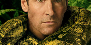 《新狂蟒之灾》1月9日上映 “蚁人”雨林整狠活！