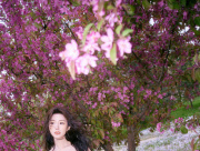 focus image