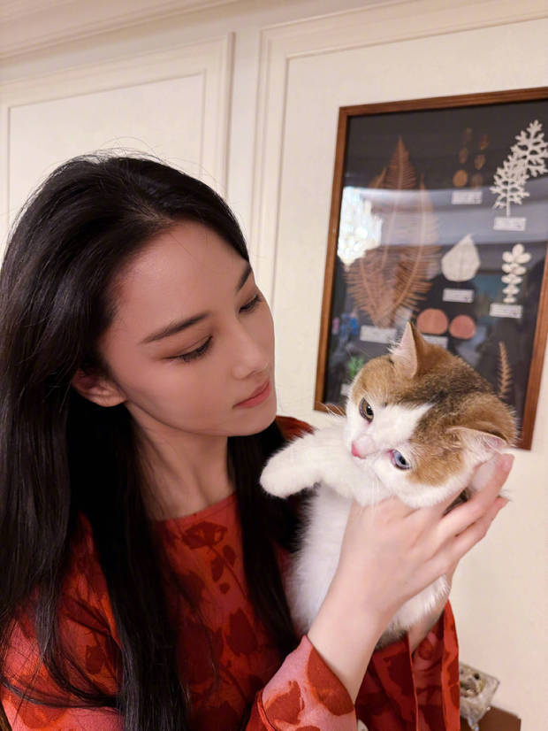 張馨予近距離欣賞小貓咪的可愛容貌。