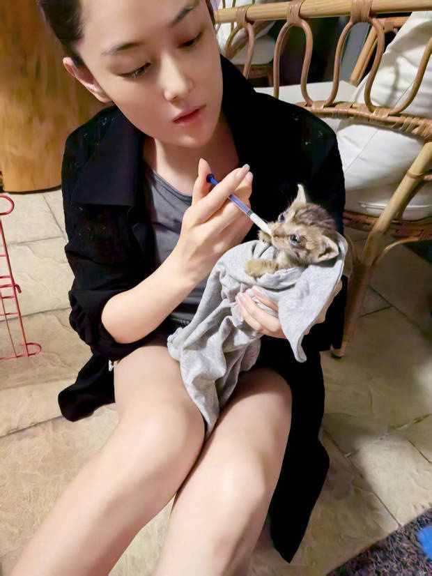 張馨予給小貓咪喂奶。