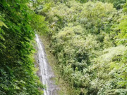 focus image