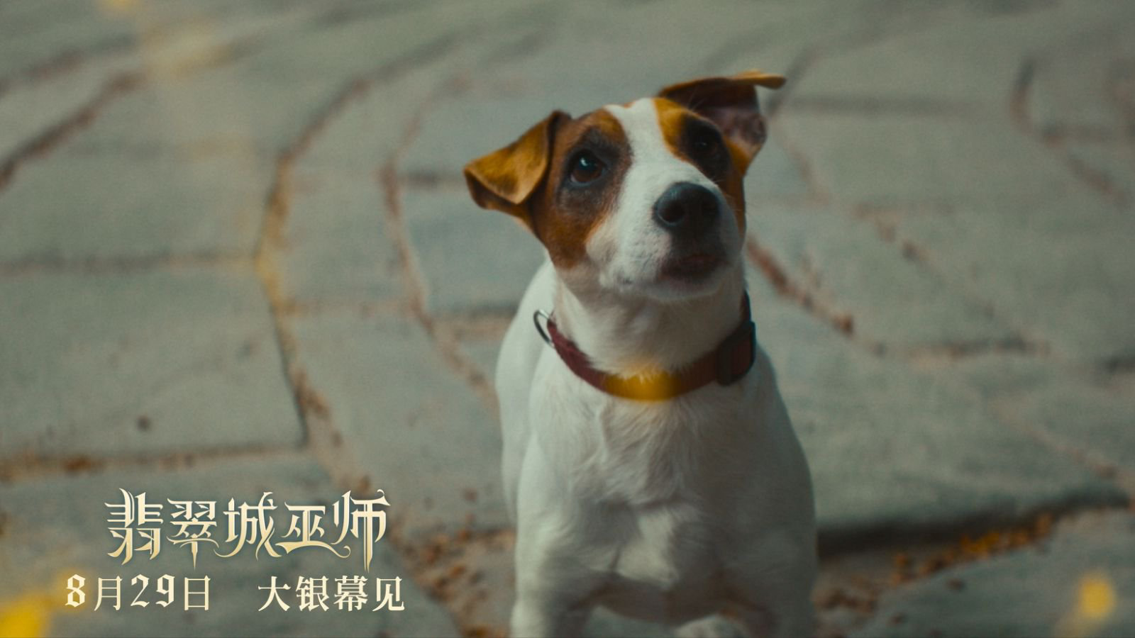 暑假最后的狂歡！俄版“綠野仙蹤”《翡翠城巫師》定檔8月29日