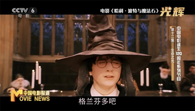 迎新之际，感悟《光辉》中的生命之光