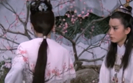 金玉良缘红楼梦：林青霞反串贾宝玉