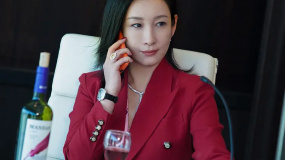 秦海璐·扫黑行动