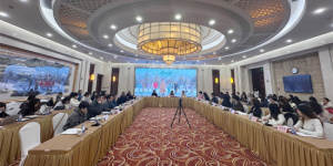 《骄阳似我》研讨会 主创谈宋威龙赵今麦角色适配